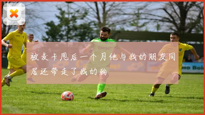 被麦卡甩后一个月他与我的朋友同居还带走了我的狗